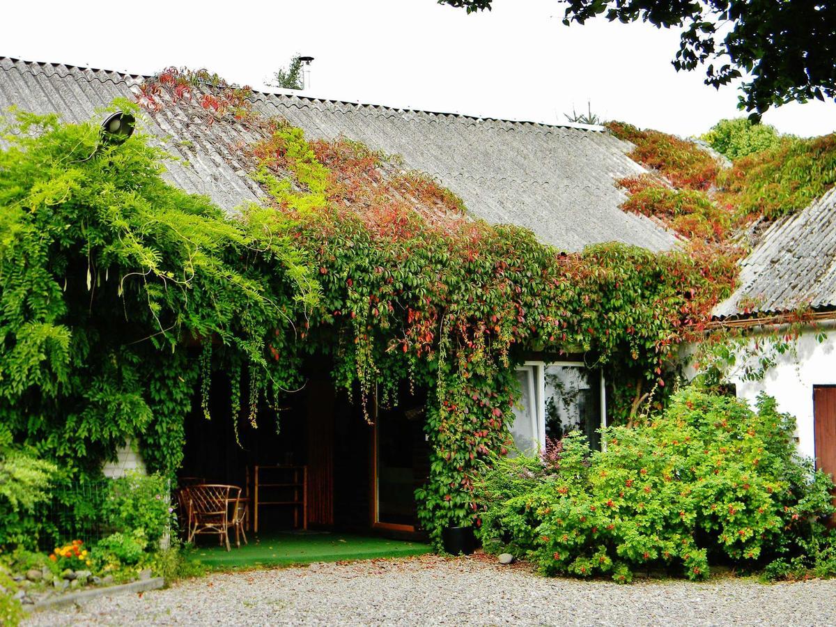Zakatek Pod Grusza Bedzino Exterior foto